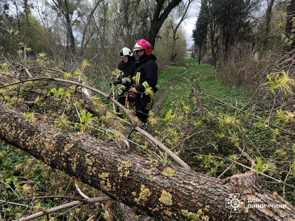 680818044 1407875764713642 671591029157476484 n