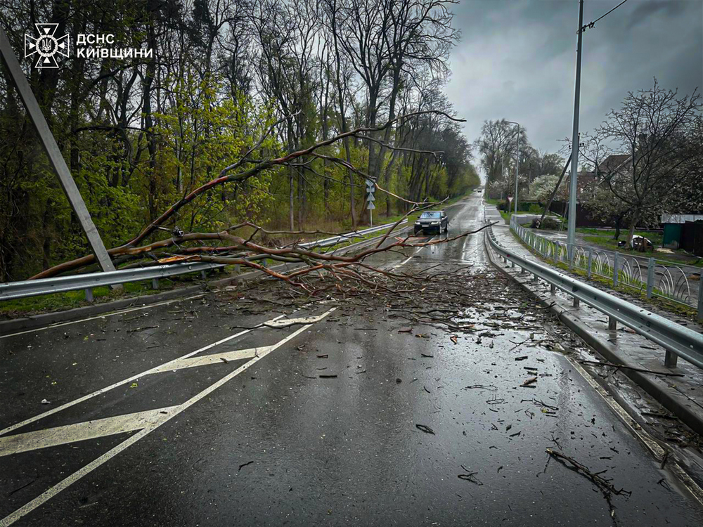 681054525 1407875534713665 5004603699691255215 n