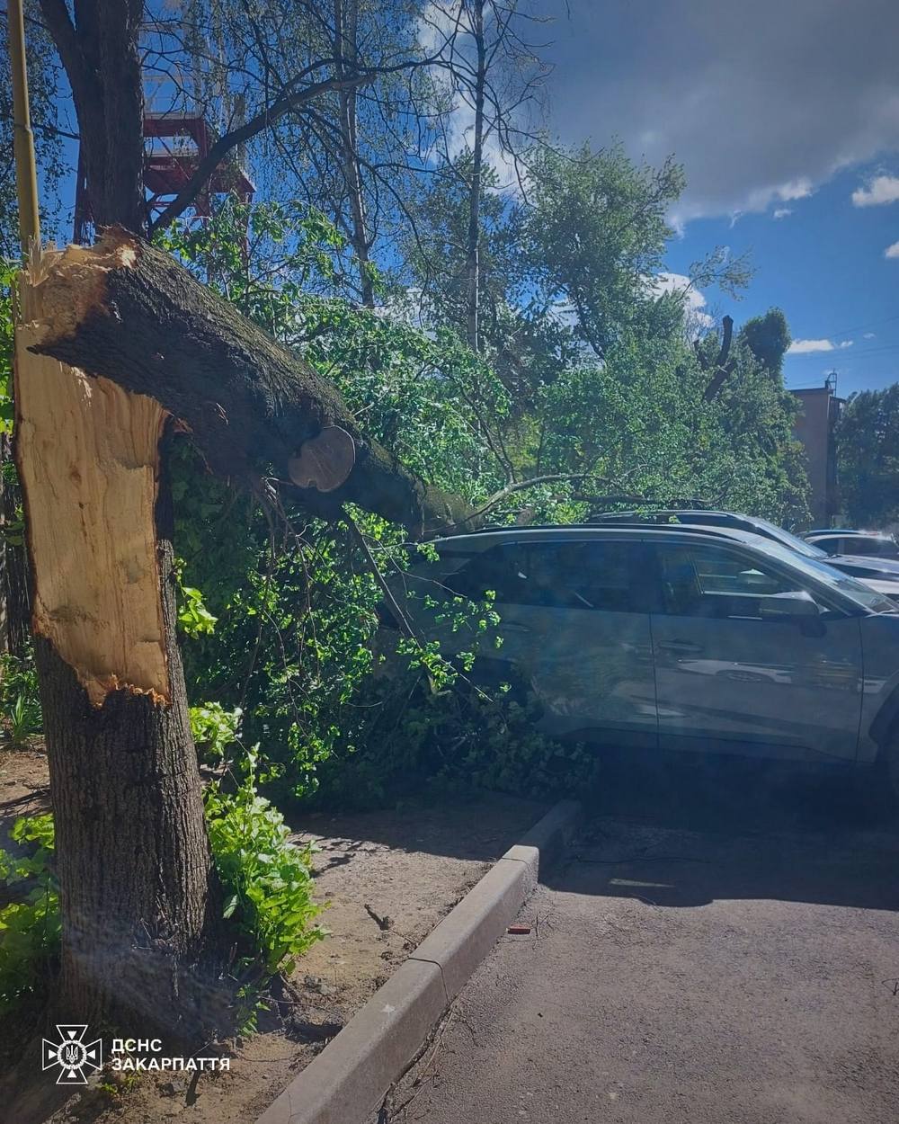 681390557 1407875778046974 65449627311013951 n