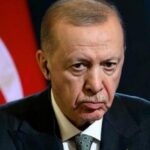 Переговори Зеленського та Путіна – Ердоган пропонує зустріч в Туреччині