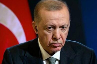 Переговори Зеленського та Путіна – Ердоган пропонує зустріч в Туреччині