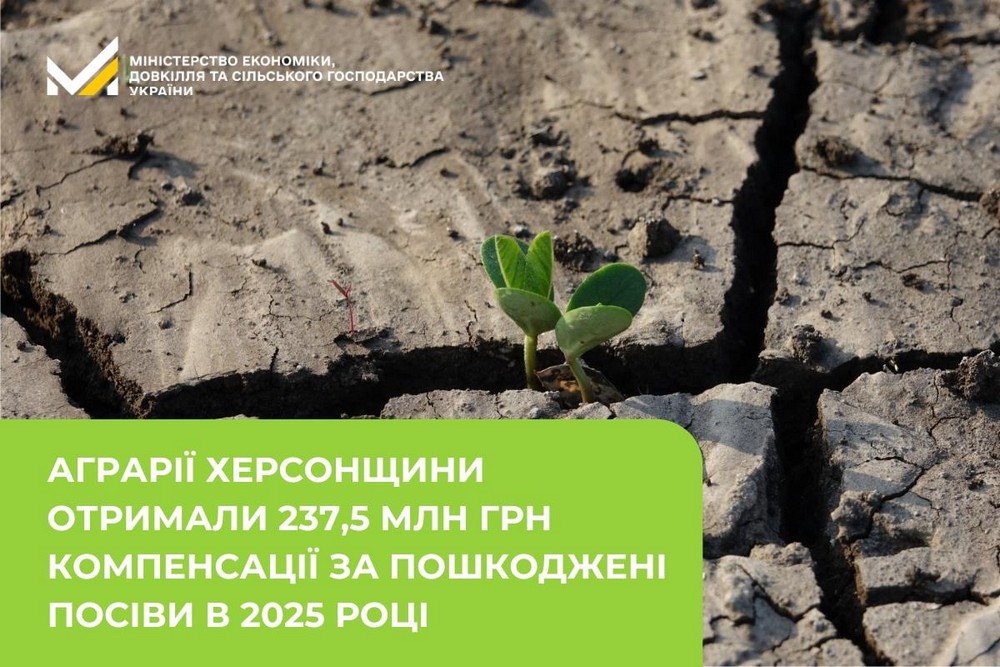 До 4 700 грн на гектар: компенсація за пошкоджені посіви для аграріїв прифронтових територій – як отримати