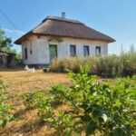 Житло для ВПО: невдовзі стартує програма «Будиночки в селі» – що відомо