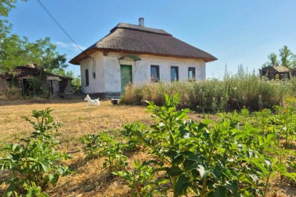 Житло для ВПО: невдовзі стартує програма «Будиночки в селі» - що відомо