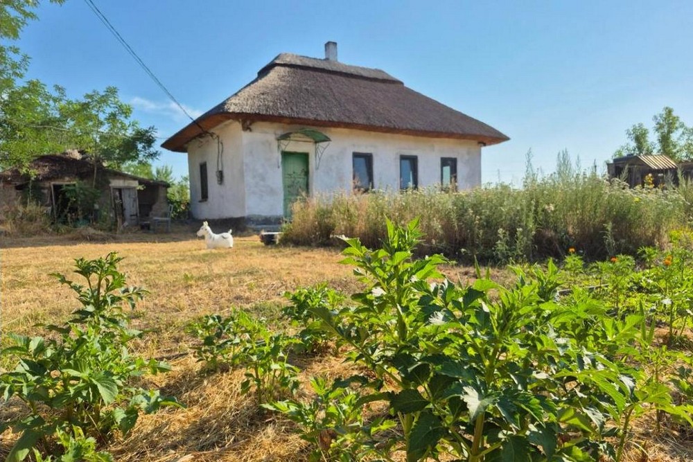 Житло для ВПО: невдовзі стартує програма «Будиночки в селі» - що відомо