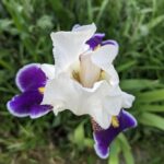 18 квітня  – яке сьогодні свято, прикмети і традиції, пам’ятні дати, іменини