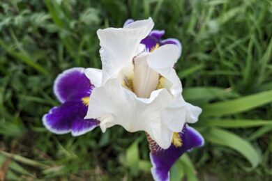 18 квітня  – яке сьогодні свято, прикмети і традиції, пам’ятні дати, іменини