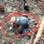 На Нікопольщині, а також ще у чотирьох областях, ворог скидає нові міни «Пряник» (фото)