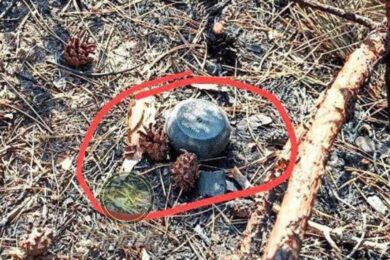 На Нікопольщині, а також ще у чотирьох областях, ворог скидає нові міни «Пряник» (фото)