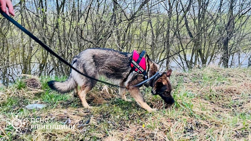 Знайшли і другого…. Двоє малюків з однієї родини загинули на Рівненщині Знайшли і другого…. Двоє малюків з однієї родини загинули на Рівненщині