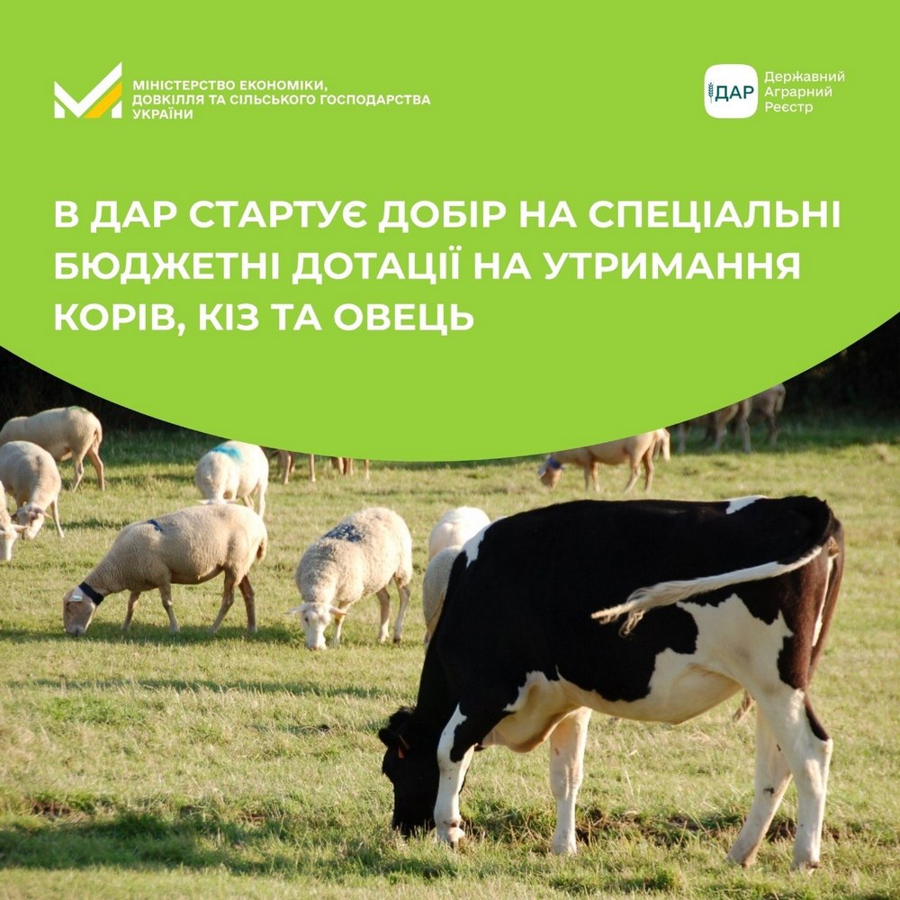Грошова допомога 7000 грн і 2000 грн на худобу – хто і як може отримати