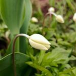 погода в Україіні 2