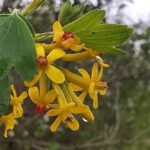 погода в Україні