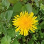 Погода в Україні