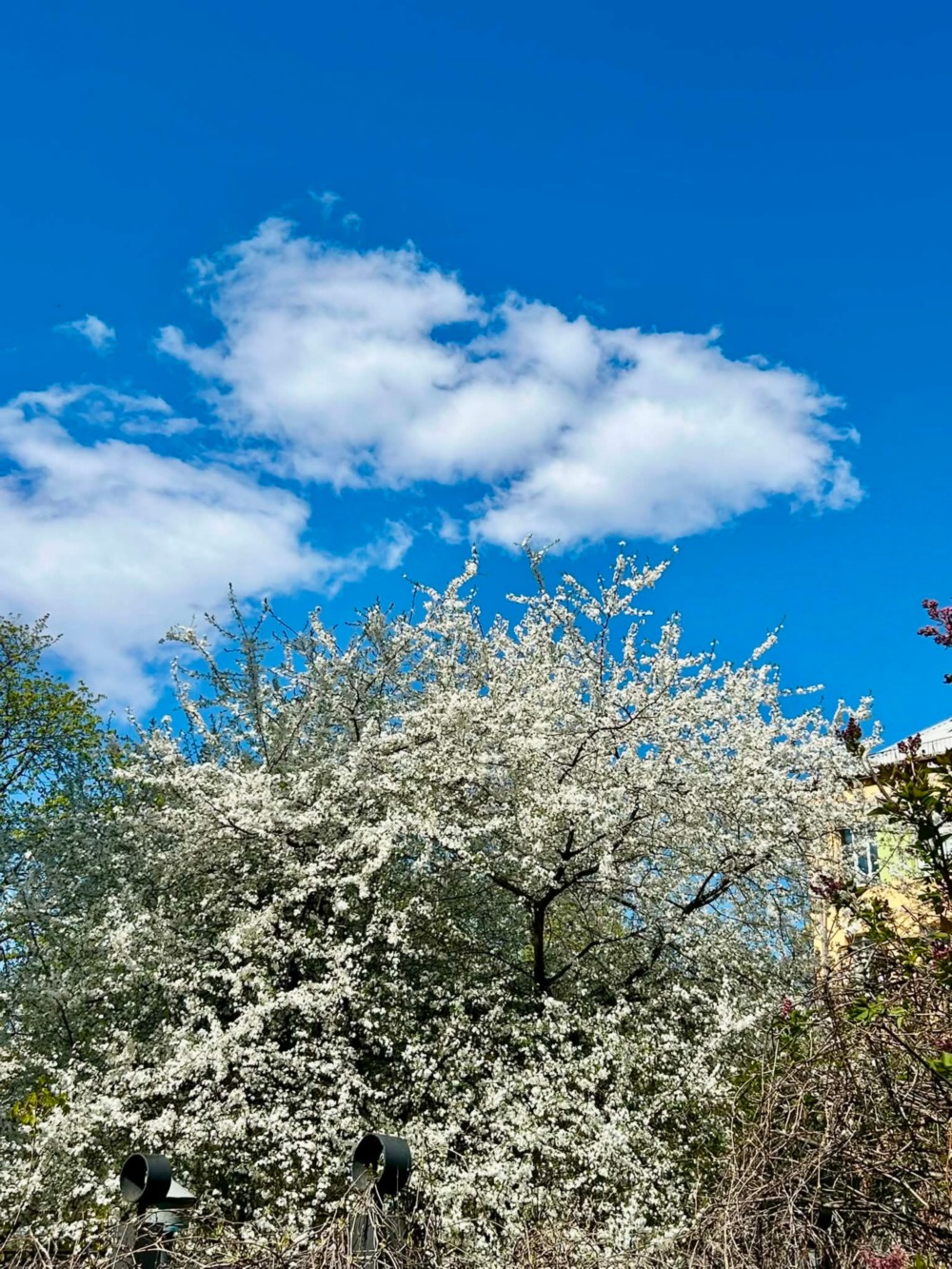 погода в Україні 27 квітня