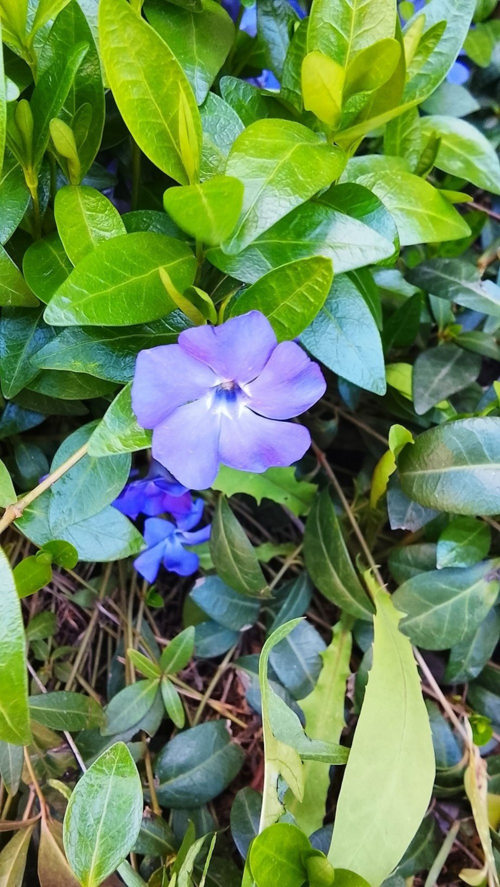 погода в Україні 27 квітня 2