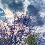 погода в Україні 27 квітня 3