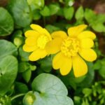 погода в Україні 3 квітня 3