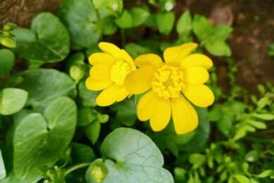 Невеликий дощ і грози: якою буде погода в Україні 3 квітня