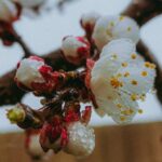 Погода в Україні 4