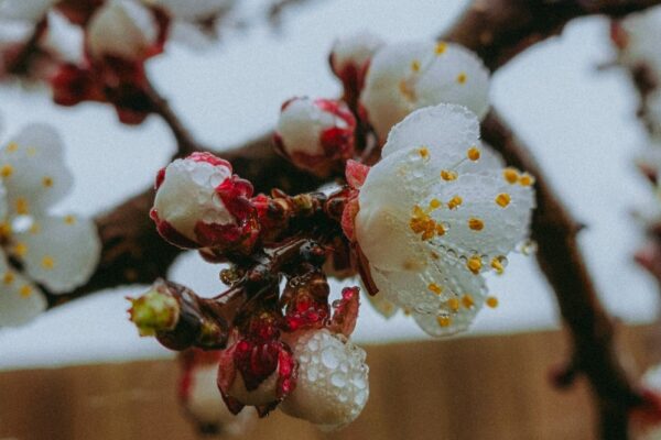 Погода в Україні 4