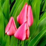 погода в Україні 6 квітня 3