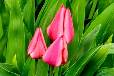 Попередили про небезпечні метеорологічні явища: якою буде погода в Україні 6 квітня