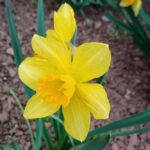 погода в Україні 2