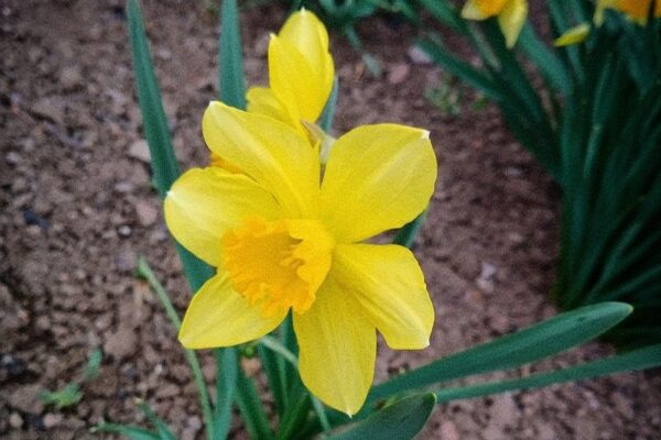 погода в Україні 2