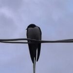 погода в Україні 3