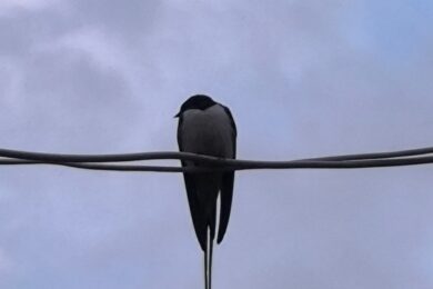 Попередили про небезпечні метеорологічні явища: якою буде погода в Україні 30 квітня