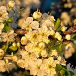 погода в Україні 4