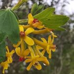 погода в Україні 2