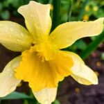 погода в Україні 2