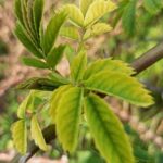 Погода в Україні 3