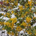 Погода в Україні 3