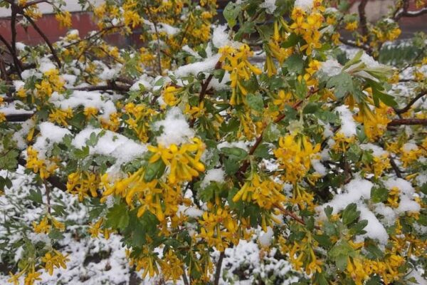 Погода в Україні 3