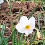 погода в Україні 3