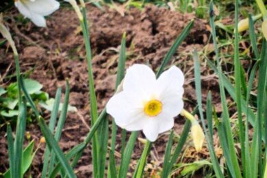 погода в Україні 3