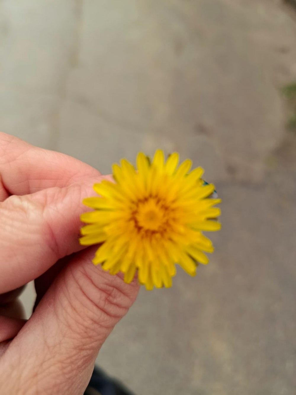 погода в Україні 3