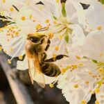 погода в Україні 3