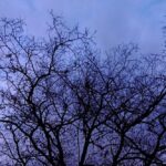 погода в Україні 3