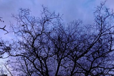 Очікується невеликий дощ:  якою буде погода в Україні 17 квітня