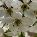 Погода в Україні 3