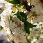 погода в Україні 4