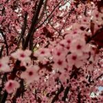 погода в Україні 4