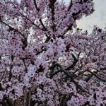 погода в Україні 4