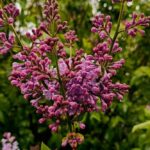 погода в Україні 4