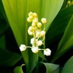 Погода в Україні 4