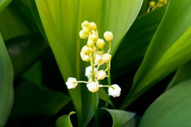 Попередили про небезпечні метеорологічні явища:  якою буде погода в Україні 24 квітня